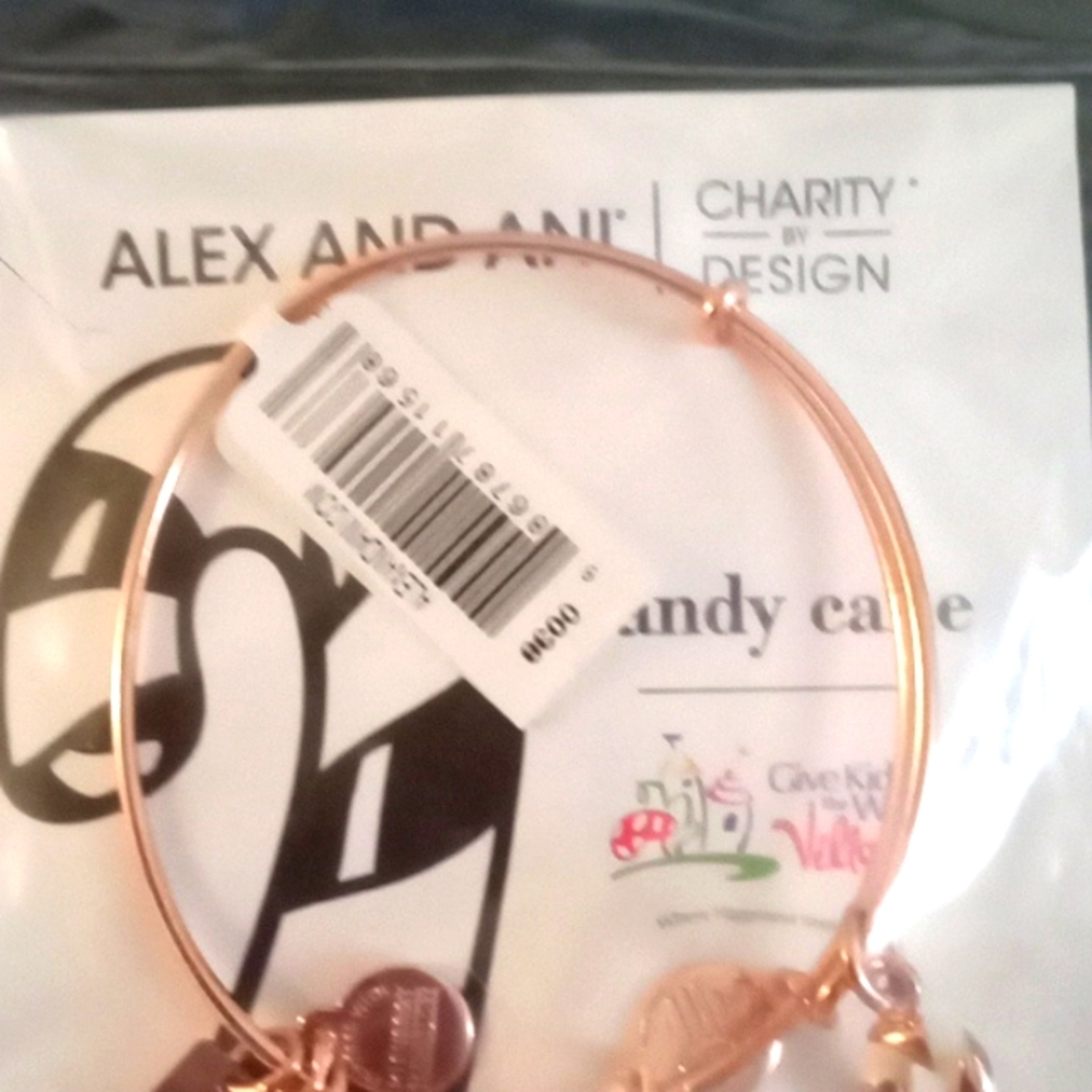 ALEX AND ANI CHRISTMAS CANDY CANE BRACELET - Picture 4 of 6